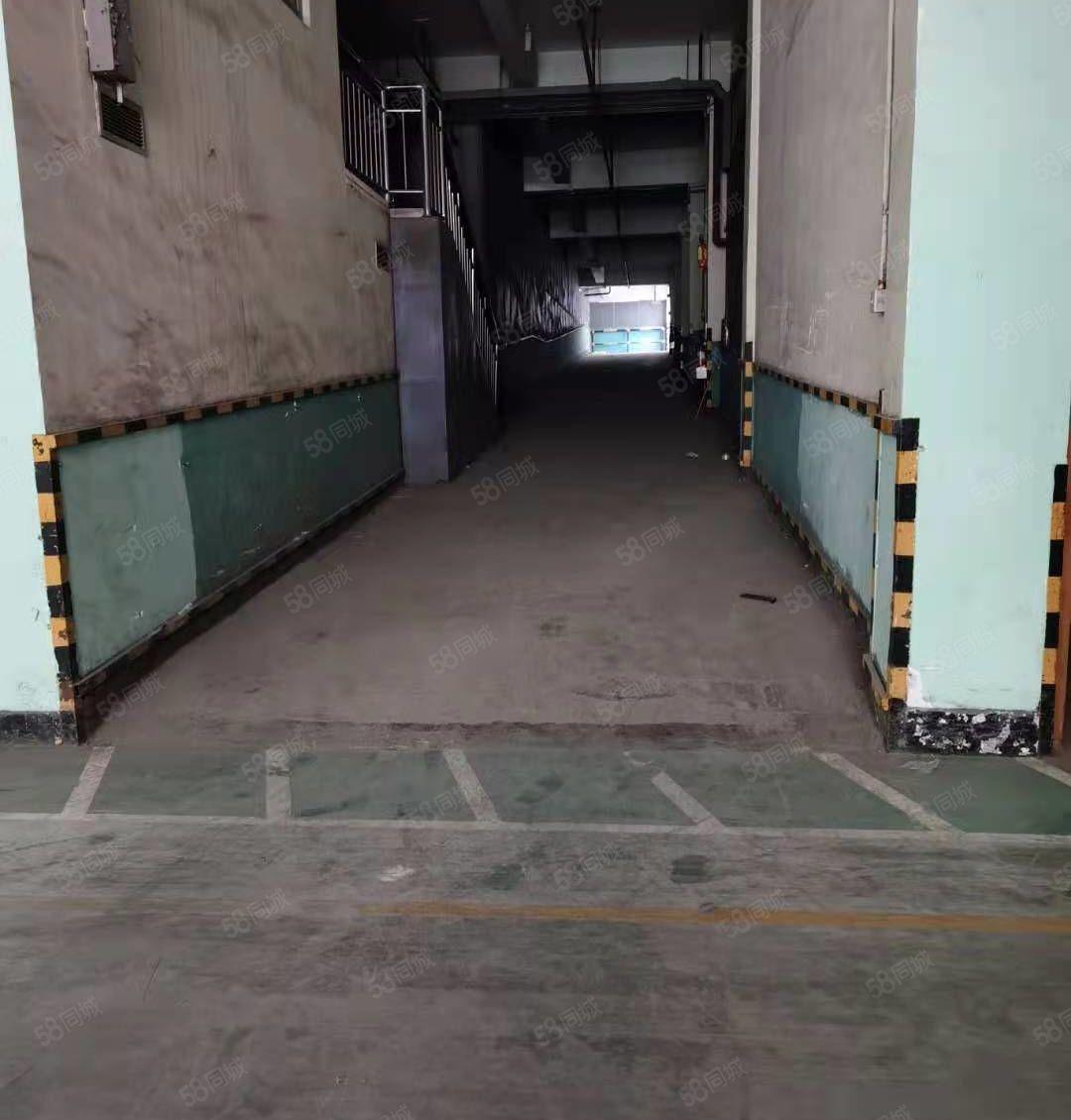 福永宝安机场附近300平至1500平一楼精装修低价仓库厂房出