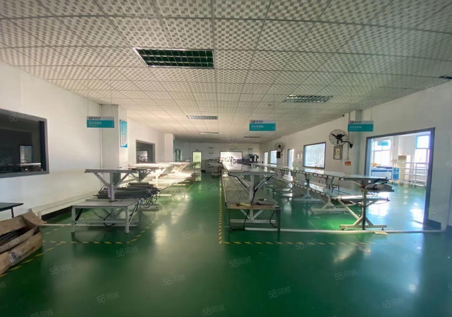 兴东洪浪北1000平米带装修办公厂房仓库出租