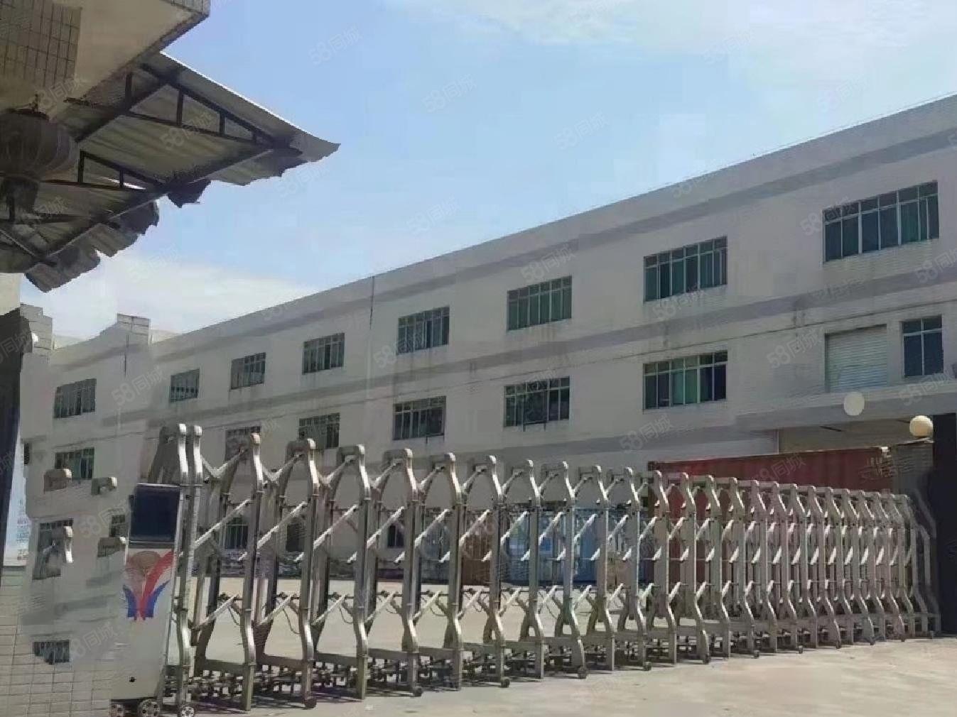 松岗红本厂房出租300平起租 独院15000平 价格实惠