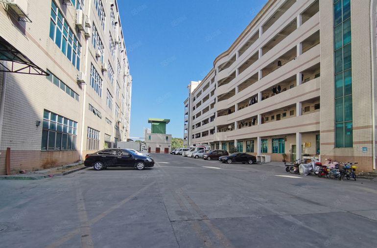 石岩料坑精装厂房出租一二楼5000平分租一楼6米办公仓库招租