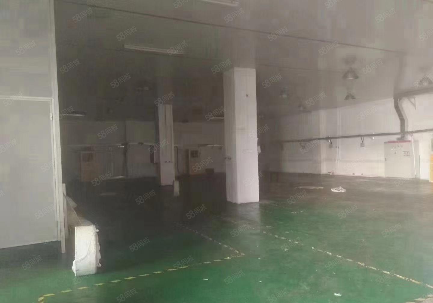 沙井西环电子城旁一楼1450平方米精装修厂房招租