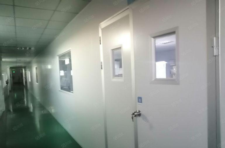 沙井街道新和大道边共和附近两层楼独院厂房2916平方出租