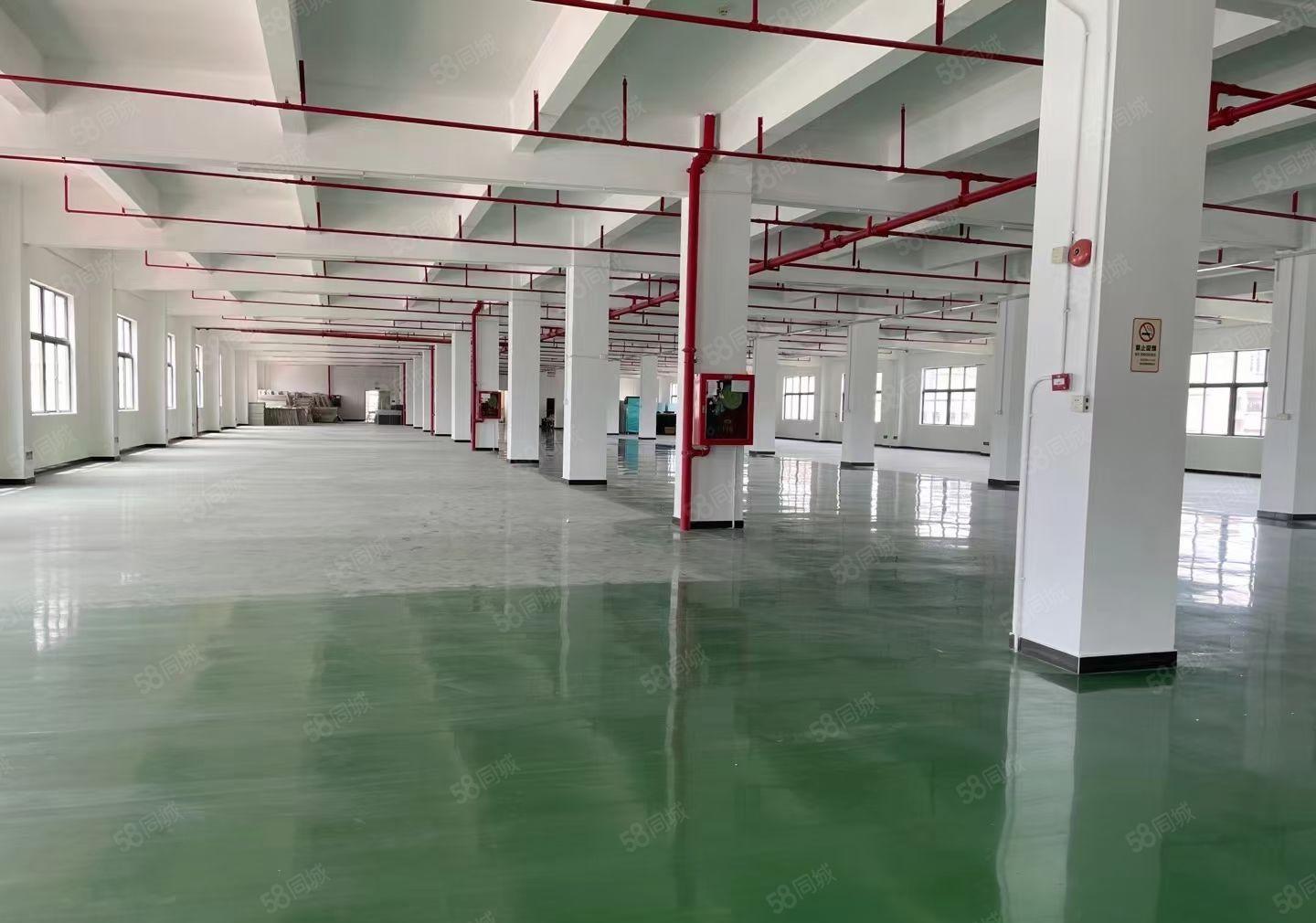 松岗独门独院厂房 送空地，送院子，适合任何行业