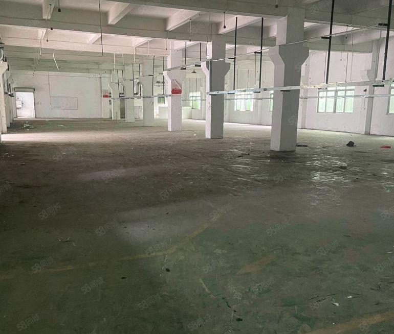 企石镇原房东独门独院3900平米厂房出租空地有2000平米