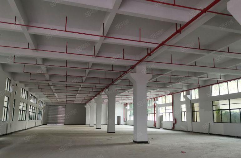 企石镇原房东标准独院厂房，形象好，现在水电到车间办公室装修