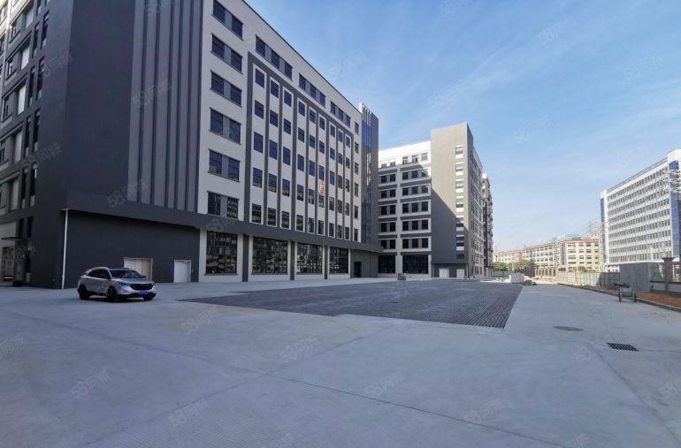 企石镇大型园区厂房50000平米厂房出租，大小面积都可以分租