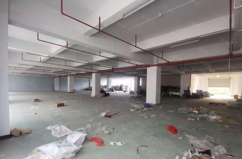 企石镇镇中心大型工业园厂房出租面积1500平米水电齐全