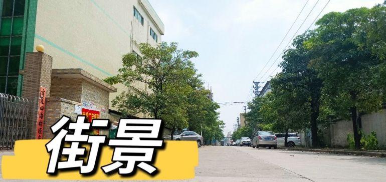 企石镇 靠近桥头原房东 标准独院 现成装修 工业用地可办环评