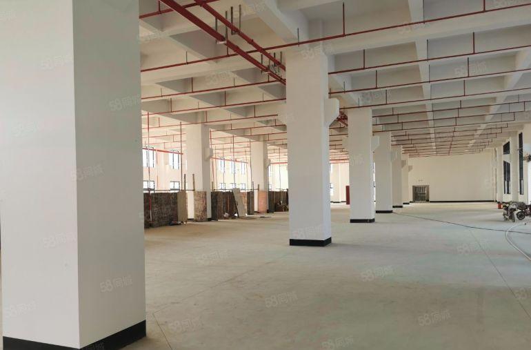 企石镇大型园区厂房50000平米厂房出租，大小面积都可以分租