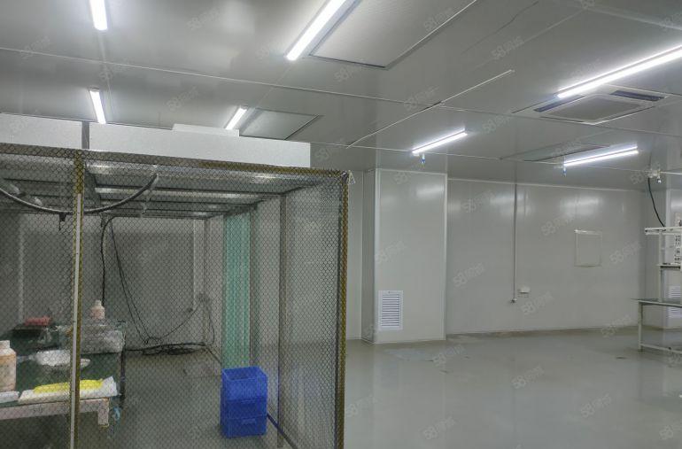 清溪谢坑1200平方无尘车间厂房出租500平方起分租领包入住