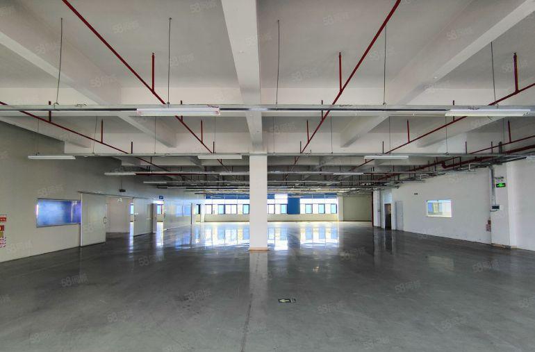 原房东7元无公摊5千平红本厂房谢岗樟木头一楼仓库出租大小可分