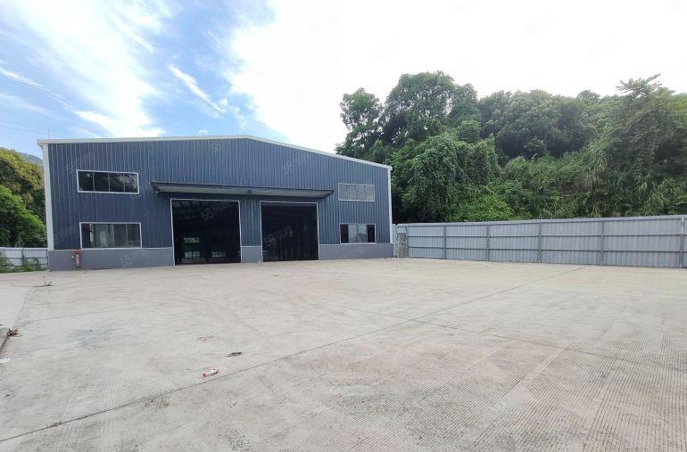 谢岗原房东独院单一层钢结构厂房1500平米低价出租 滴水8米