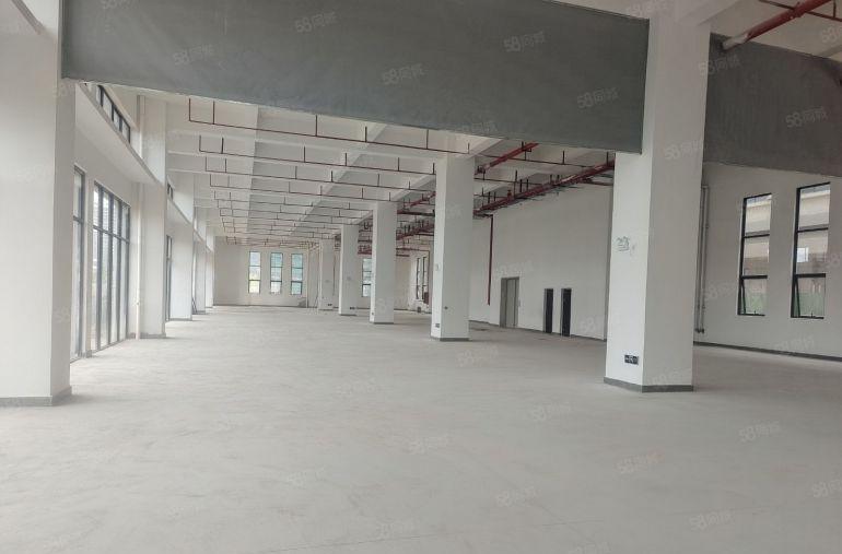 谢岗镇带红本厂房招租，带消防喷淋，两部三吨电梯，一楼高度7米