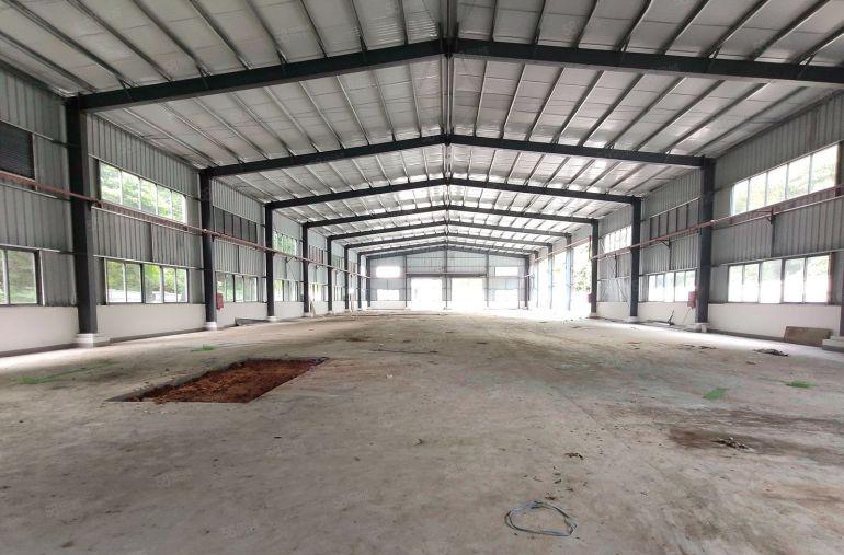 谢岗原房东独院单一层钢结构厂房1500平米低价出租 滴水8米