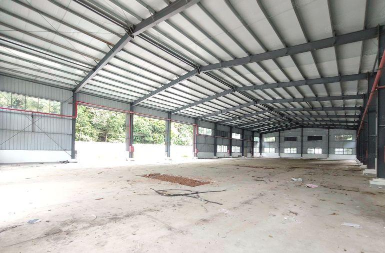 谢岗原房东独院单一层钢结构厂房1500平米低价出租 滴水8米