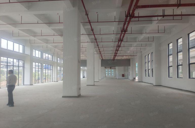 谢岗镇带红本厂房招租，带消防喷淋，两部三吨电梯，一楼高度7米