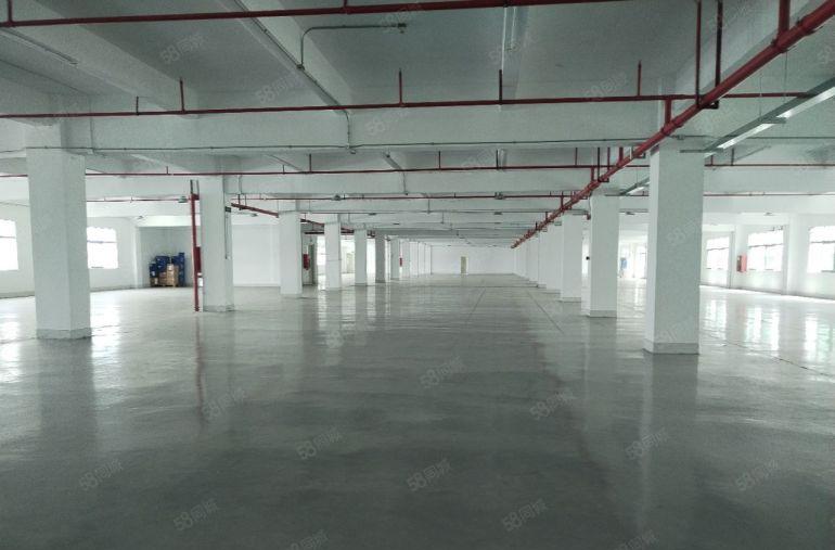 小金口800平1500平现成装修红本厂房仓库出租可分租