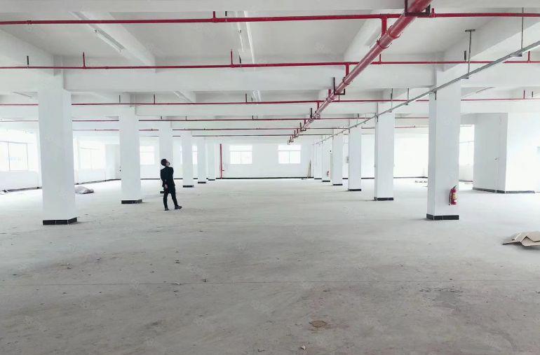 10元一方！新圩塘吓工业区2000平厂房仓库低价出租空地超大