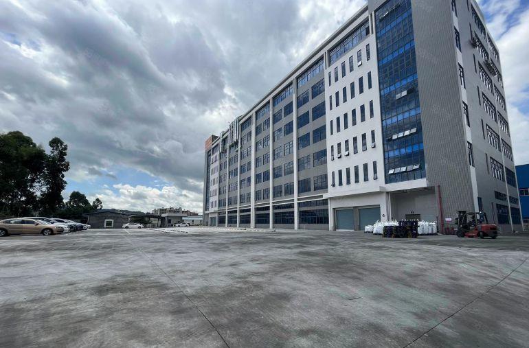 镇隆原房东独门独院厂房出租500平起分仓库小面积分租空地大