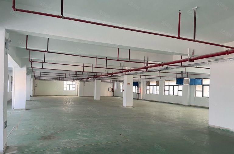 新圩临深南坑工业区600平现成装修办公室仓库厂房低价出租