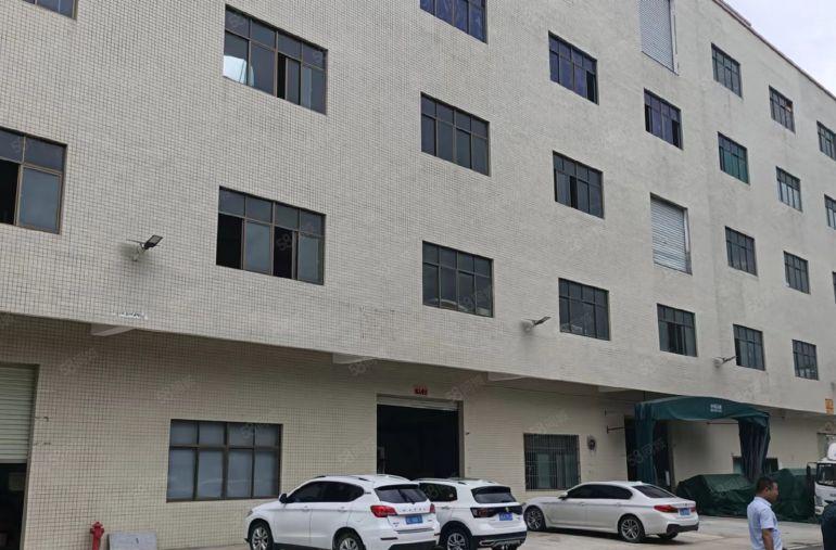 新圩精装修四楼出租850平方现成水电办公室