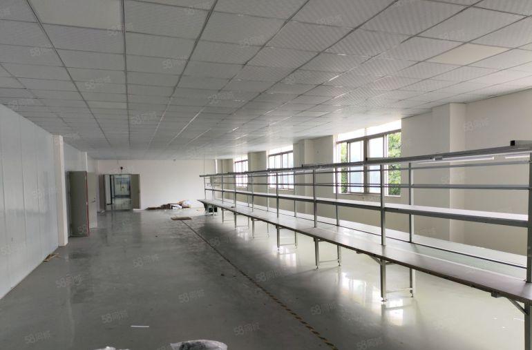 惠州惠阳新圩东风村路口精装修厂房低价出租850平配套齐全