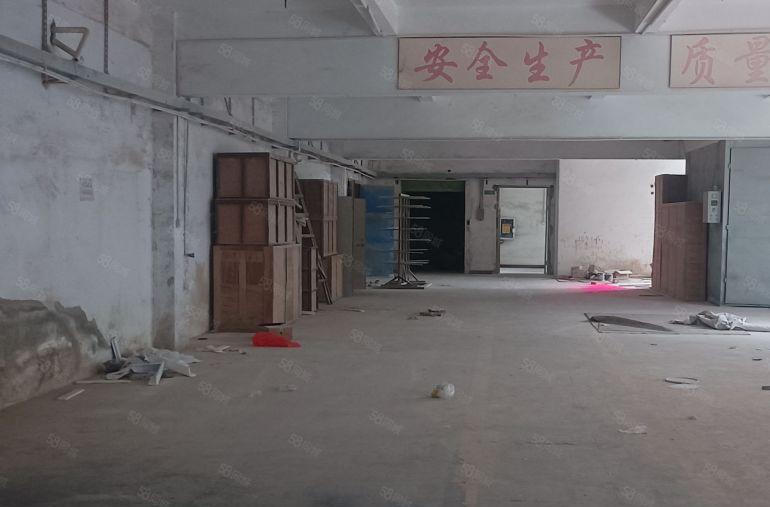 惠阳新圩205国道边红本独院标准厂房7000平方米出租