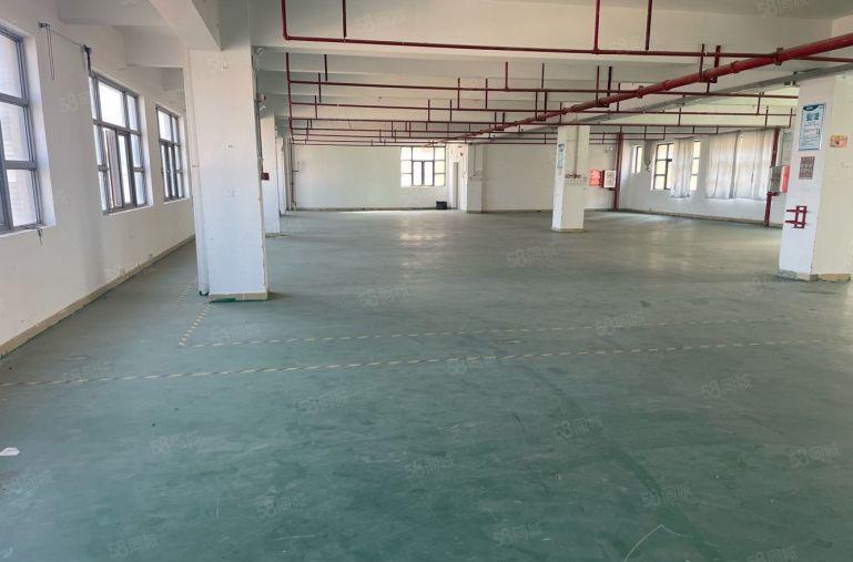 新圩临深南坑工业区600平现成装修办公室仓库厂房低价出租