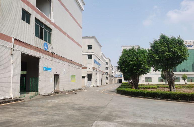 惠阳秋长临深原房东独门独院，实际面积，带精装修办公室。