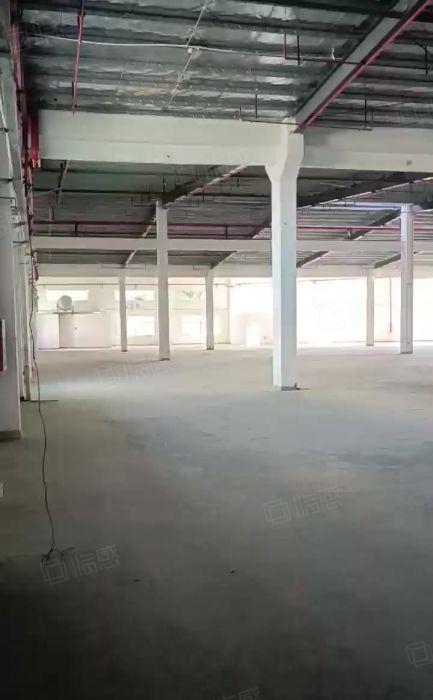 新圩原房东独栋钢构出租11893平形象高大上有红本