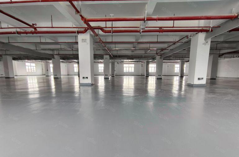 惠阳秋长原房东全新厂房1600平方带全新地坪漆可整租可分租。