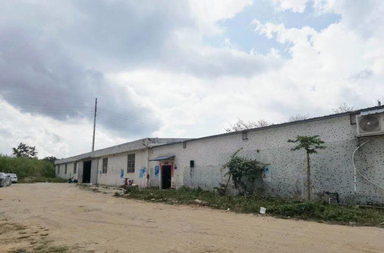 惠州市大亚湾原房东钢构厂房540平方空地大，靠大马路