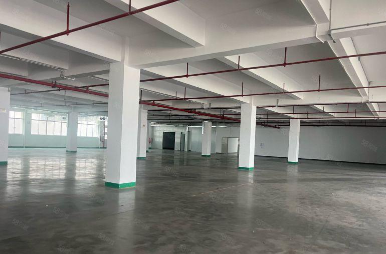 大亚湾原房东实际面积出租，红本厂房大小可以分   全新厂房