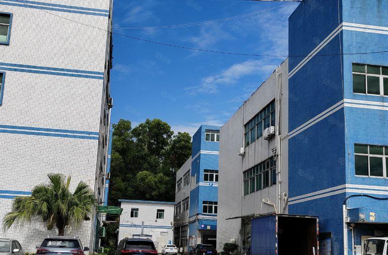 大亚湾1000平原房东厂房仓库出租可分租