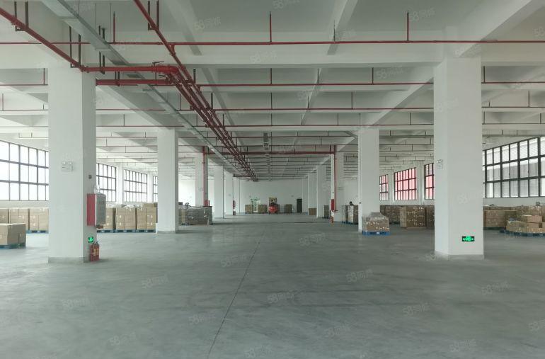 临深大亚湾西区原房东红本厂房3600平可分租可办环评易招工