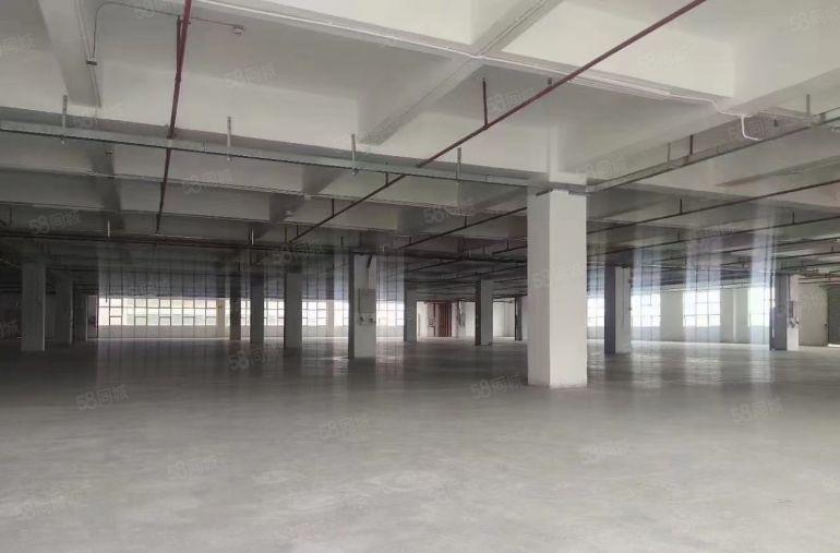 大亚湾临深全新工业区500平方起厂房仓库租免组5个月