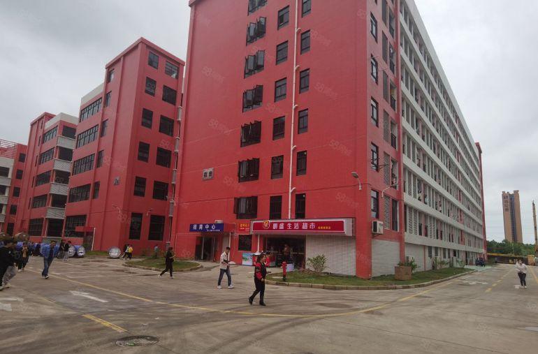 临深大亚湾西区原房东红本厂房3600平可分租可办环评易招工