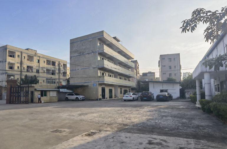 10块钱单一层独院！园洲原房东厂房仓库出租4800平，可分租