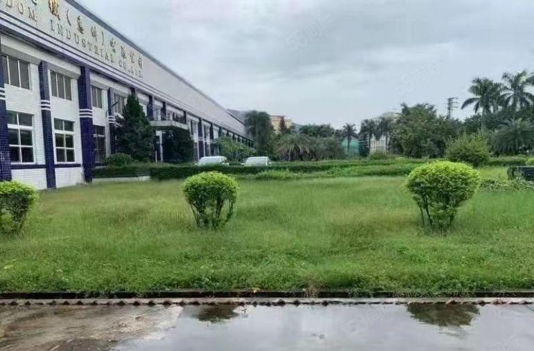 园洲镇红本花园式单一层滴水8米10600平方低价出租