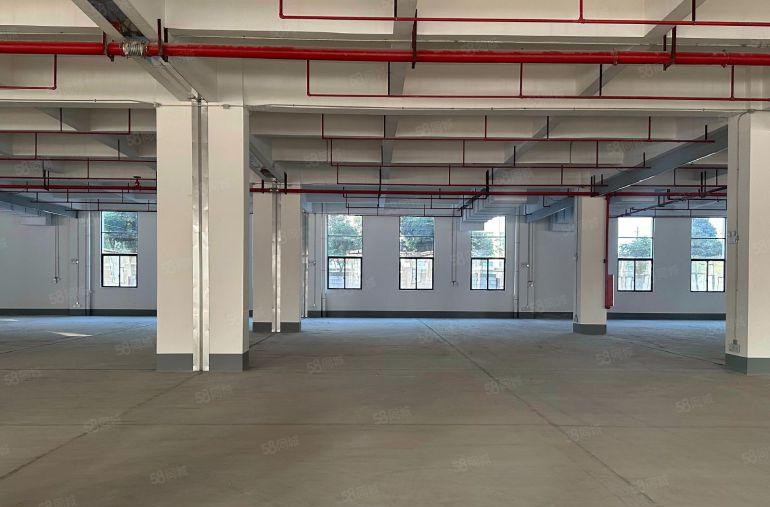 1000平方起租全新楼上8.8元