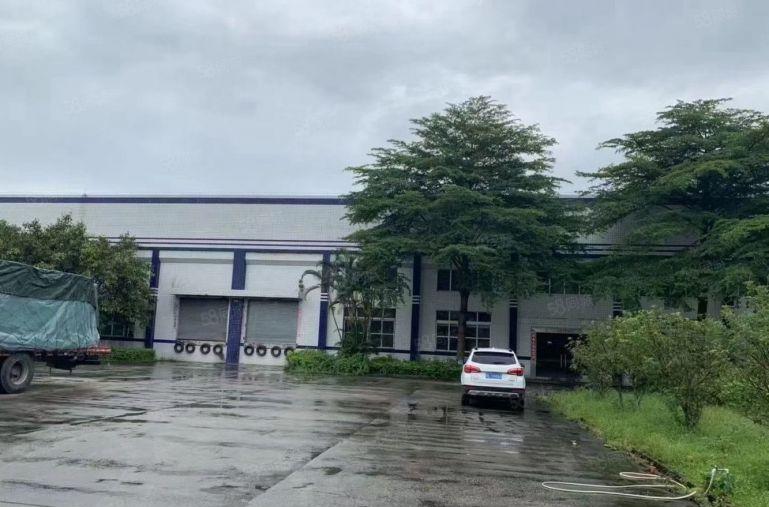 园洲镇红本花园式单一层滴水8米10600平方低价出租