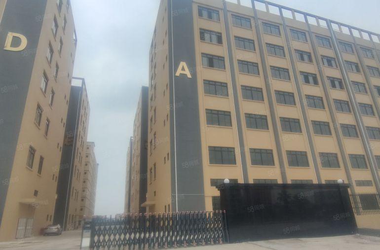 博罗罗阳30000平全新工业园厂房物流仓库出租可分租滴水8米