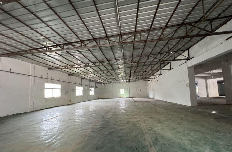 博罗园洲原房东红本独门独院3600平方低价厂房出租空地大免佣