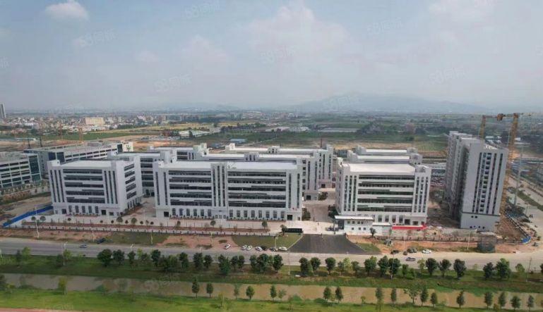 石湾工业园红本厂房低价出租30000平，大小可分高速出口附近