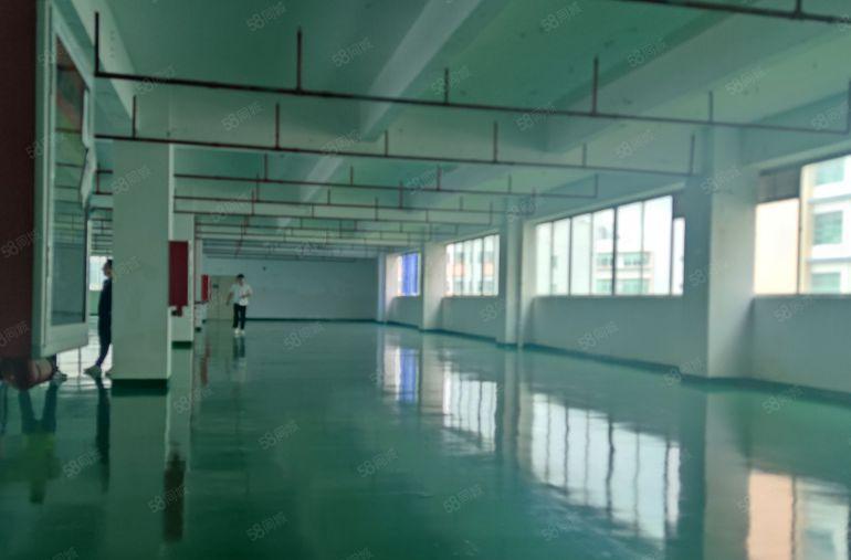 博罗罗阳镇3000平实际面积厂房仓库出租可分租国道边证件齐全