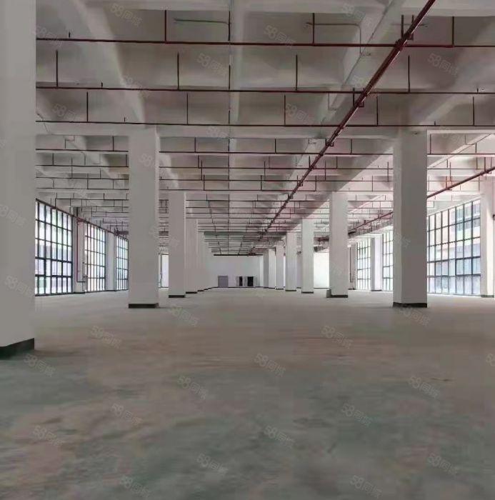 水口千亿东江湾新建科研大楼39600平方低价出租厂房隆重招商