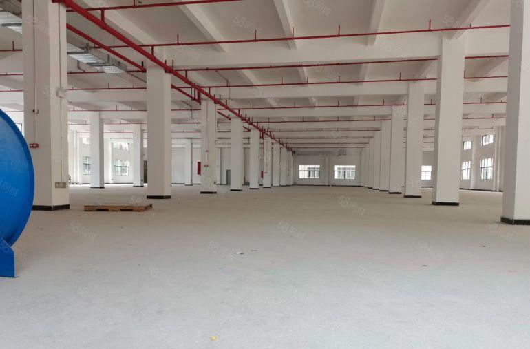 花园式厂房招租12500平方空地非常大