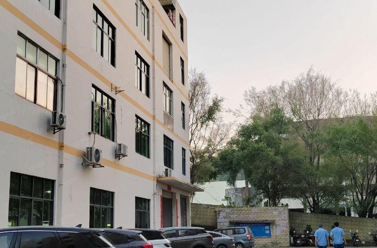 博罗园洲独院厂房仓库出租可分租