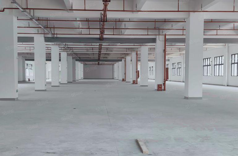 惠东白花10000平方独院厂房出租，一楼层高9米，