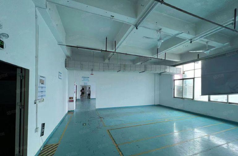 D9 137 2378 8242房东直租观澜独门独院沿街厂房